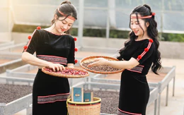 Workshop cùng nông dân xây 'hệ miễn dịch' cho cà phê Robusta ngay tại vườn