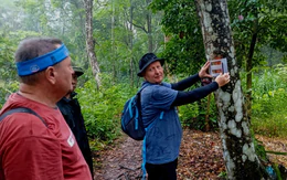 Hệ thống dẫn đường Czech the Trail tại Phong Nha - Kẻ Bàng có gì đặc biệt?