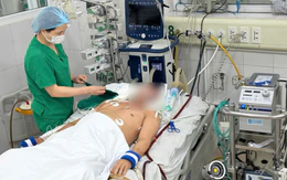 Nam thanh niên khỏe mạnh sốc sốt xuất huyết phải thở máy: Bác sĩ khuyến cáo không chủ quan