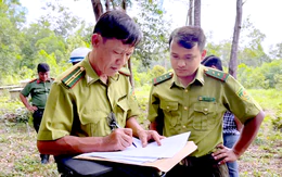 Sau chỉ đạo của ông Đinh Văn Nơi, nhiều trường hợp vi phạm đất rừng ở Phú Quốc đã bị xử lý