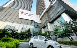 EVN, SCIC, Agribank... tiếp tục nắm 100% vốn nhà nước, loạt ngân hàng cơ cấu lại vốn