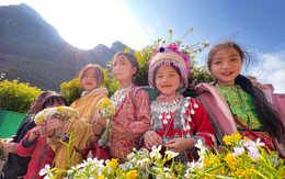 Tà Xùa, Cao nguyên đá Đồng Văn được đề cử điểm đến hàng đầu thế giới
