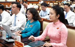 HĐND TP.HCM xem xét quy hoạch tổng thể TP thời kỳ 2025-2050, tầm nhìn 100 năm