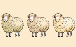 Quiz: Điều gì khiến bạn bất an?