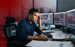 Cổ phiếu giảm sàn liên tiếp, 'trắng bên mua': Nhà đầu tư nên làm gì?