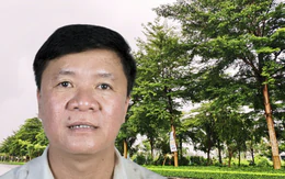 Vụ Cây xanh Công Minh: Tách điều tra các dấu hiệu vi phạm của các chủ đầu tư tại 36 tỉnh, thành