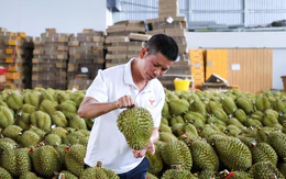 Phó thủ tướng yêu cầu nghiên cứu lập sàn giao dịch nông, thủy sản