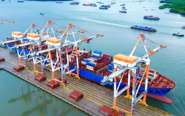 Cảng Tân Cảng - Cái Mép Thị Vải liên tiếp vượt mốc 1 triệu TEU hàng hóa
