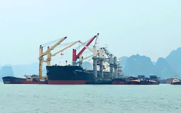Gói thầu bốc dỡ than ở Quảng Ninh: Doanh nghiệp nội kêu vì tiêu chí kỹ thuật gây khó