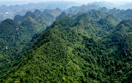 Chủ tịch Quảng Trị muốn dùng thiết bị bay không người lái giám sát rừng Phong Nha - Kẻ Bàng