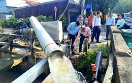 Bình Lợi nâng cấp hạ tầng thủy lợi, bảo vệ hơn 600ha mai vàng