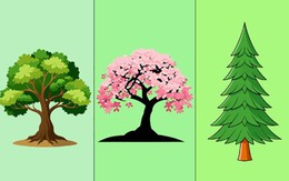 Quiz: Yếu tố nào giúp bạn đạt được thành công?