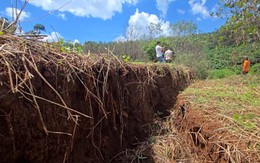 Vết nứt 'nuốt chửng' gần 1ha đất và cây trồng ở Gia Lai chưa rõ nguyên nhân