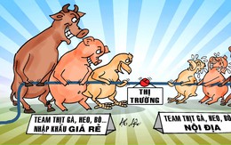 Thịt nhập giá rẻ kéo căng sợi dây thị trường
