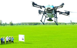 6.000 drone đang làm việc trên đồng ruộng Đồng bằng sông Cửu Long