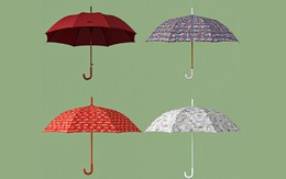 Quiz: Bạn tự tin, tham vọng hay sáng tạo, linh hoạt?