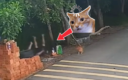 Ngã chổng vó xuống kênh vì ngồi chung võng