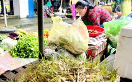 Giá cả đầu ngày: Giá củ kiệu miền Tây tăng gấp đôi, heo hơi chạm đáy nhiều tháng