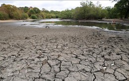El Nino trở lại