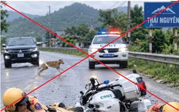 'Hai cảnh sát giao thông gặp nạn ở Thái Nguyên vì chó lao qua đường' là tin giả, ảnh do AI tạo