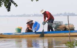 Cuộc thi Lan tỏa năng lượng tích cực 2026: Nhịp sống biên giới mùa nước nổi