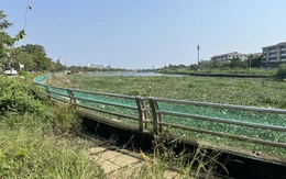 Ban Quản lý dự án ODA Cần Thơ thua kiện công ty xây dựng, buộc phải trả hơn 9,9 tỉ đồng