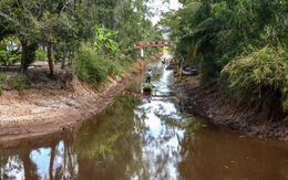 Xâm nhập mặn gia tăng ở miền Tây đầu tháng 2 và Tết Nguyên đán