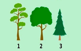 Quiz: Bạn có tư duy chín chắn và định hướng rõ ràng cho tương lai?