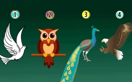 Quiz: Bạn cẩn thận, tỉ mỉ hay là người tràn đầy năng lượng