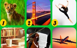 Quiz: Thế mạnh của bạn là gì?