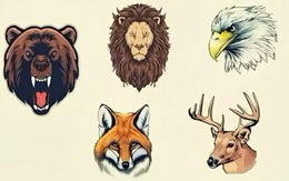 Quiz: Bạn kiên trì, bền bỉ hay là người tràn đầy ý tưởng