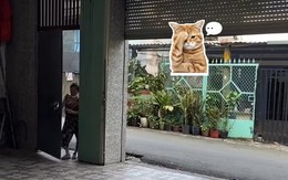 Khó thế mà cũng làm được!