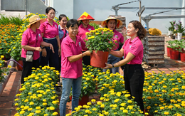 Sân thượng chung cư biến thành 'vườn xuân' 1.000 chậu hoa