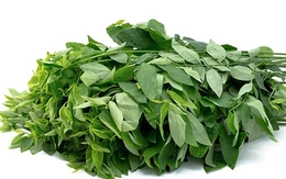 Những lưu ý giúp xương chắc khỏe cho người lớn tuổi