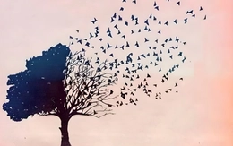 Quiz: Bạn là người chân thành và sống thực tế?