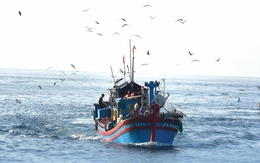 Giai phẩm Tuổi Trẻ Xuân Bính Ngọ 2026