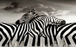 Quiz: Bạn là người có lập trường vững vàng?