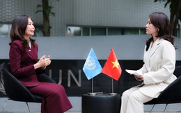 Liên hợp quốc: Việt Nam là nguồn cảm hứng trong thế giới phân mảnh