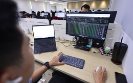 VN-Index bất ngờ 'lì xì' 42 điểm cho nhà đầu tư trước Tết