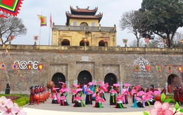 Hà Nội lần đầu tiên tổ chức Đường hoa Tết trong Hoàng thành Thăng Long