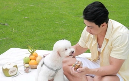 Khách sạn 'o bế' thú cưng dịp Tết