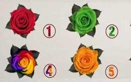 Quiz: Bạn là người kỷ luật hay tham vọng, nhiệt huyết?