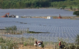 'Lộ diện' 167 dự án năng lượng tái tạo hưởng giá FIT, Bộ Công Thương yêu cầu rà soát xử lý