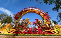 Bát tuấn mã trên đường hoa Buôn Ma Thuột - khi đại ngàn giao hòa sóng biển