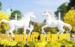 Ấn tượng cặp bạch mã vui tươi nghinh xuân ở Hà Tiên