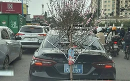 Xe Camry biển xanh buộc cành đào che biển số, tài xế làm việc tại một cơ quan trung ương