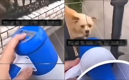 Chàng trai dùng công nghệ khắc chế con chó sủa to