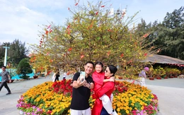 Hẹn hò Ngày tình yêu 14-2 tại Vinhomes Green Paradise Cần Giờ