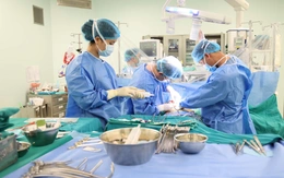 Đang về quê đón Tết, các bác sĩ quay lại bệnh viện để ghép gan cứu người