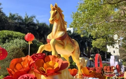 Bát tuấn mã trên đường hoa Buôn Ma Thuột - khi đại ngàn giao hòa sóng biển